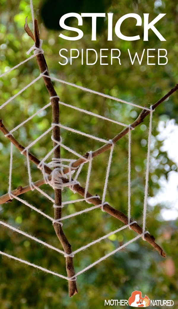 SPIDER WEB